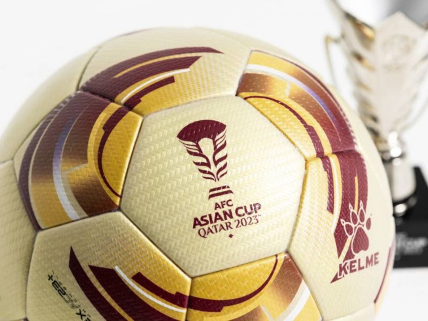 4 Pemain Asing Liga 1 yang Berlaga di Piala Asia, Ada yang Rekan Setim