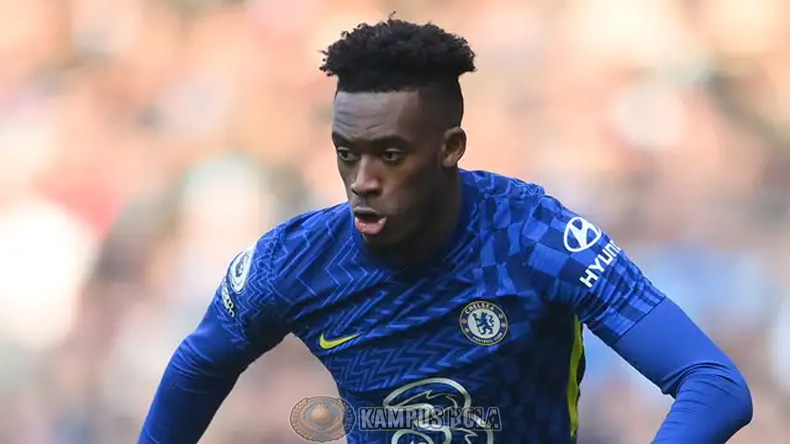 Dari Hudson-Odoi